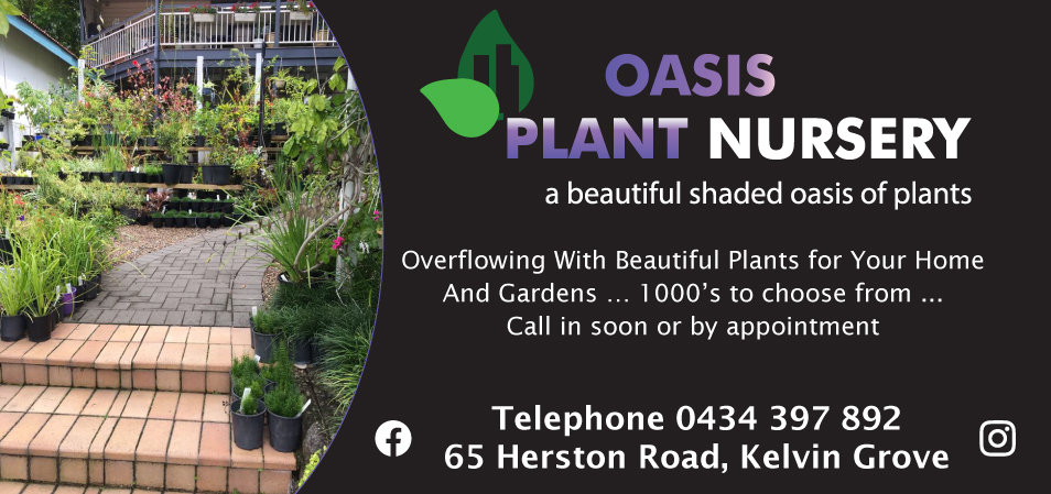 Oasis Plant Nursery